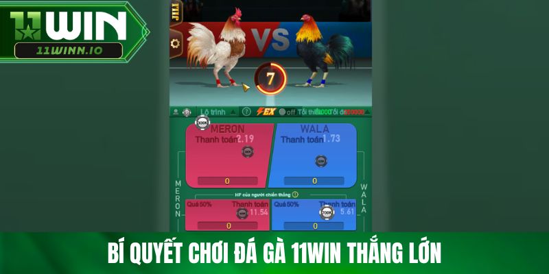 Bí quyết chơi đá gà 11WIN thắng lớn