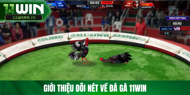 Giới thiệu đôi nét về đá gà 11WIN
